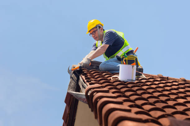 Best Storm Damage Roof Repair  in Everson, WA